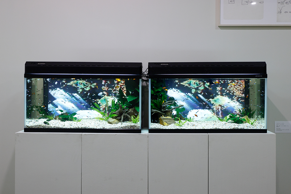 プレイプレイアート展_会場風景