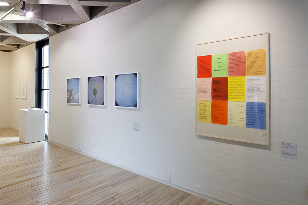 パーフェクト・カモフラージュ展_会場風景